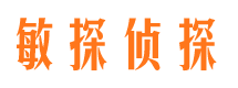 托克托市侦探公司